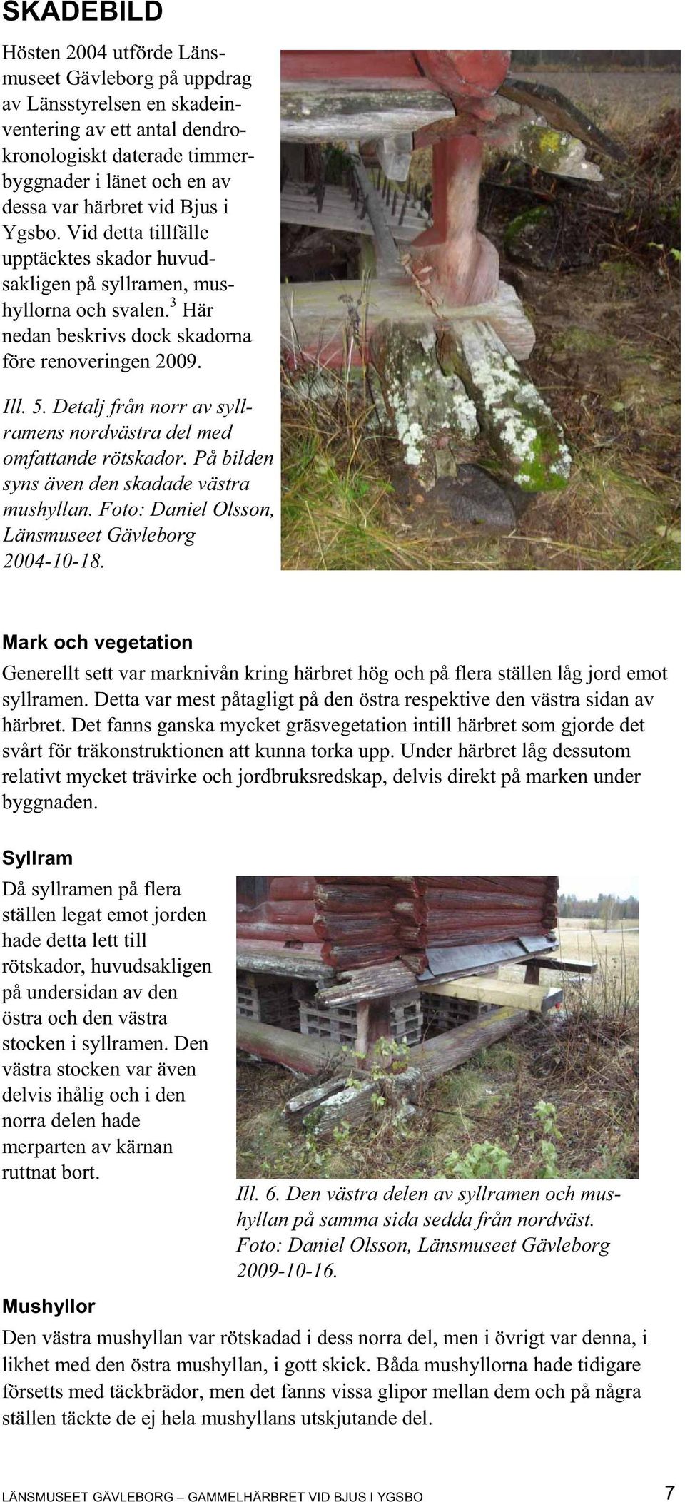 Detalj från norr av syllramens nordvästra del med omfattande rötskador. På bilden syns även den skadade västra mushyllan. Foto: Daniel Olsson, Länsmuseet Gävleborg 2004-10-18.