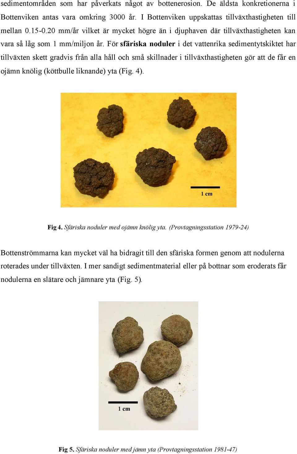 För sfäriska noduler i det vattenrika sedimentytskiktet har tillväxten skett gradvis från alla håll och små skillnader i tillväxthastigheten gör att de får en ojämn knölig (köttbulle liknande) yta