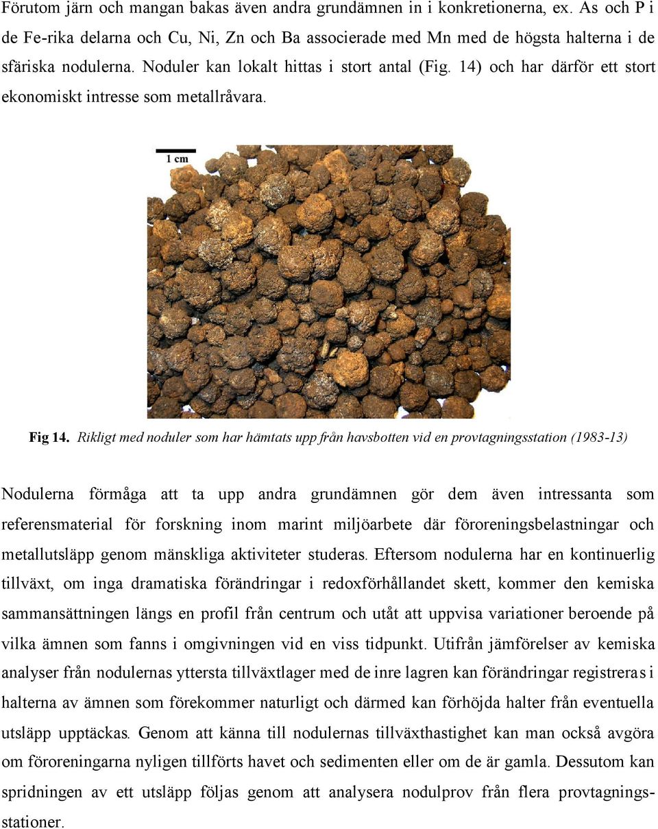 Rikligt med noduler som har hämtats upp från havsbotten vid en provtagningsstation (1983-13) Nodulerna förmåga att ta upp andra grundämnen gör dem även intressanta som referensmaterial för forskning