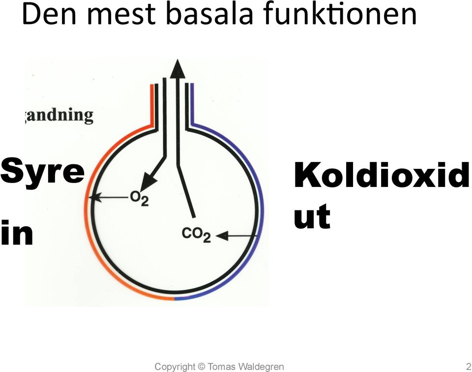 Koldioxid ut