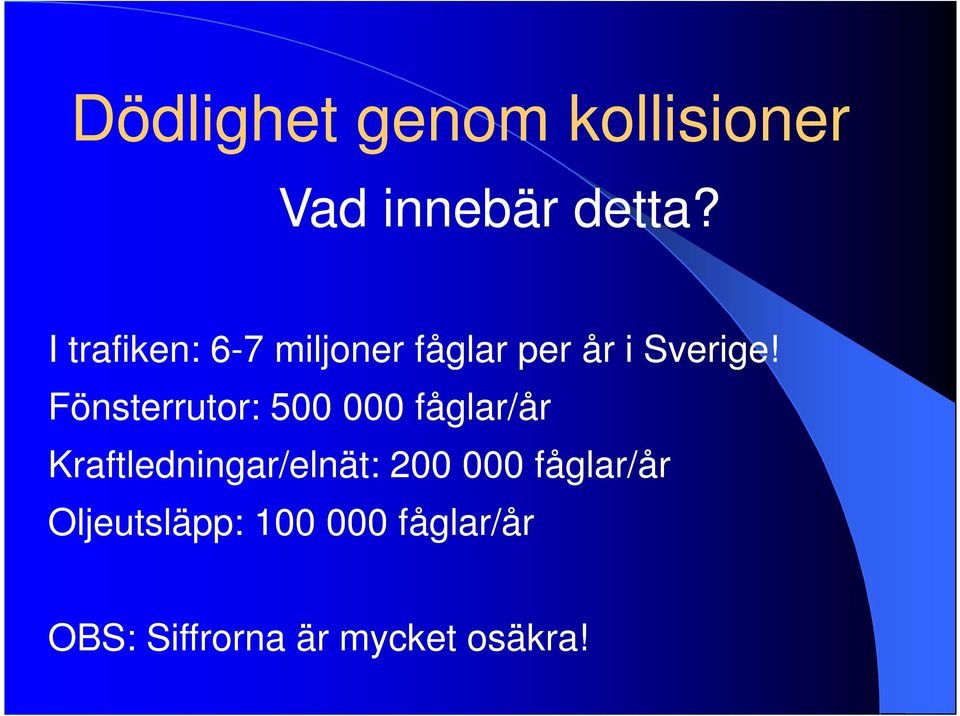 Fönsterrutor: 500 000 fåglar/år