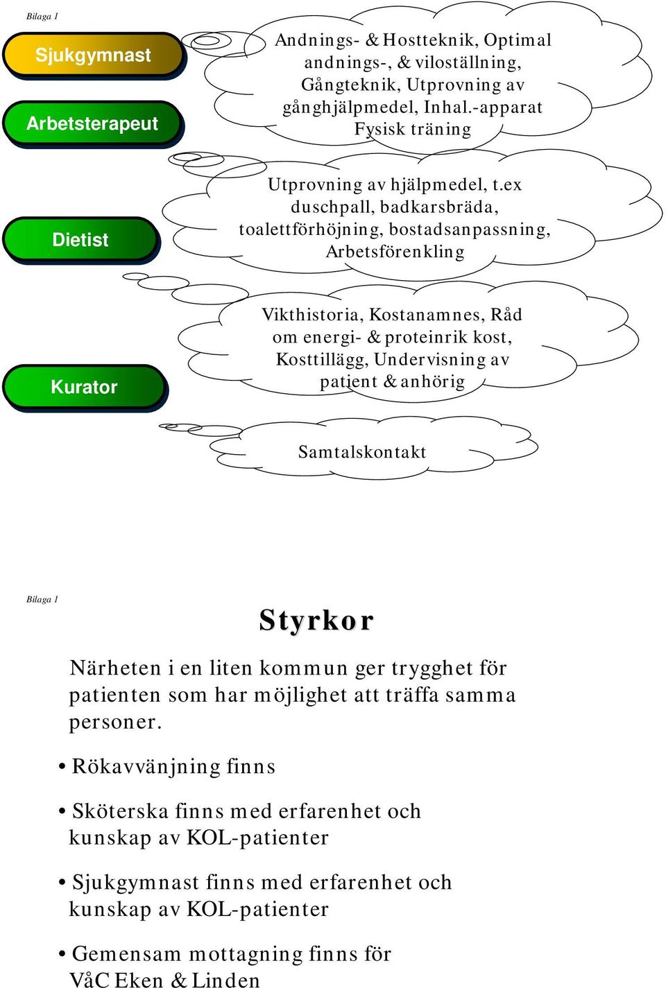 ex duschpall, badkarsbräda, toalettförhöjning, bostadsanpassning, Arbetsförenkling Kurator Vikthistoria, Kostanamnes, Råd om energi- & proteinrik kost, Kosttillägg, Undervisning av