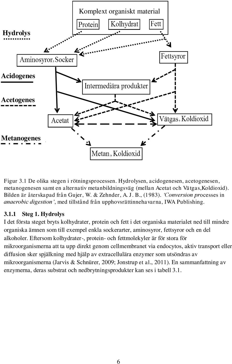 Conversion processes in anaerobic digestion, med tillstånd från upphovsrättinnehavarna, IWA Publishing. 3.1.1 Steg 1.