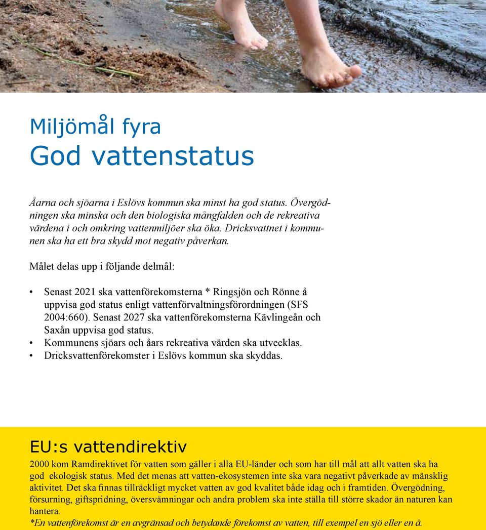 Målet delas upp i följande delmål: Senast 2021 ska vattenförekomsterna * Ringsjön och Rönne å uppvisa god status enligt vattenförvaltningsförordningen (SFS 2004:660).