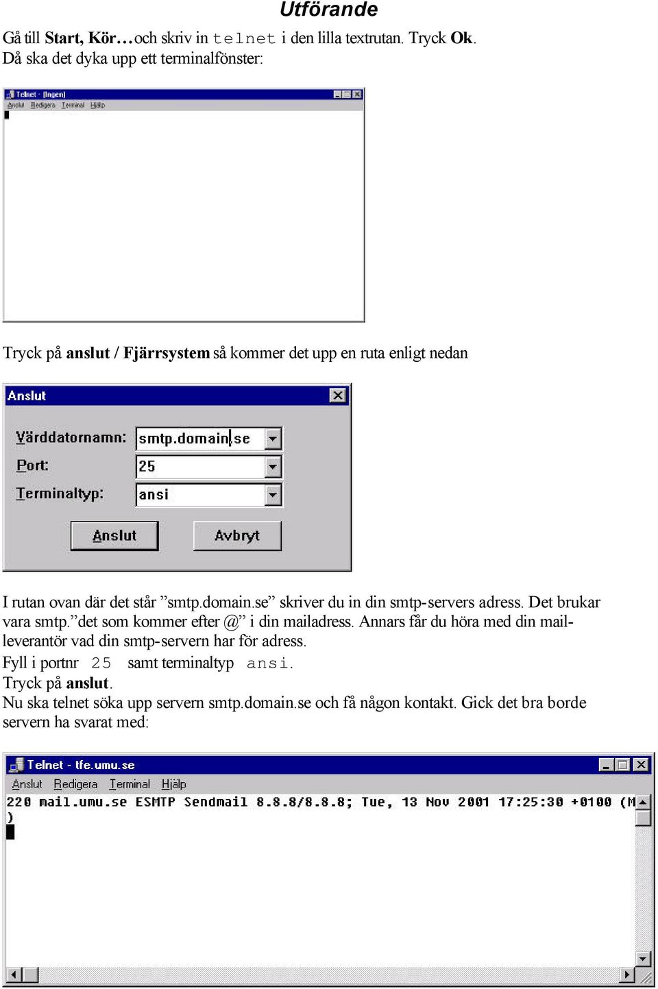 domain.se skriver du in din smtp-servers adress. Det brukar vara smtp. det som kommer efter @ i din mailadress.