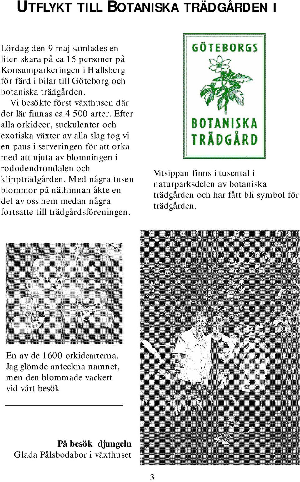 efter alla orkideer,suckulenteroch exotiska växterav alla slag tog vi en pausiserveringen förattorka m ed attnjuta av blom ningen i rododendrondalen och klippträdgården.