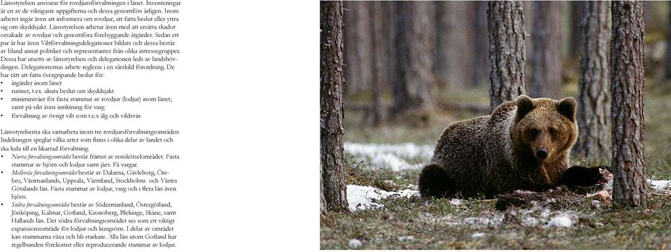 Länsstyrelsen arbetar även med att ersätta skador orsakade av rovdjur och genomföra förebyggande åtgärder.