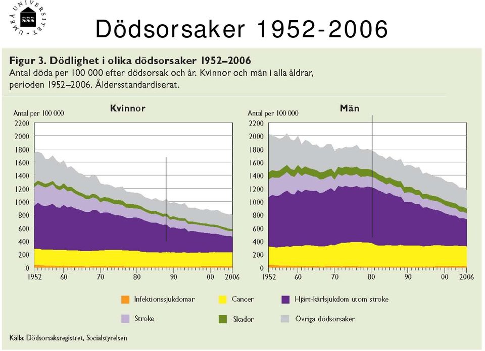 Folkhälsorapport