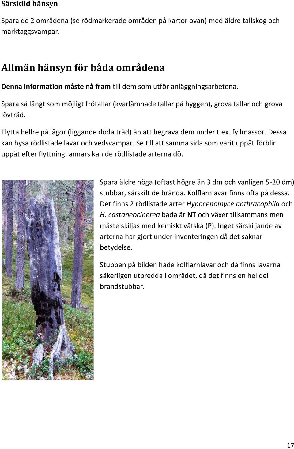 Spara så långt som möjligt frötallar (kvarlämnade tallar på hyggen), grova tallar och grova lövträd. Flytta hellre på lågor (liggande döda träd) än att begrava dem under t.ex. fyllmassor.