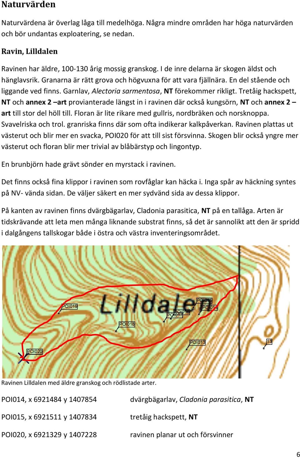 En del stående och liggande ved finns. Garnlav, Alectoria sarmentosa, NT förekommer rikligt.