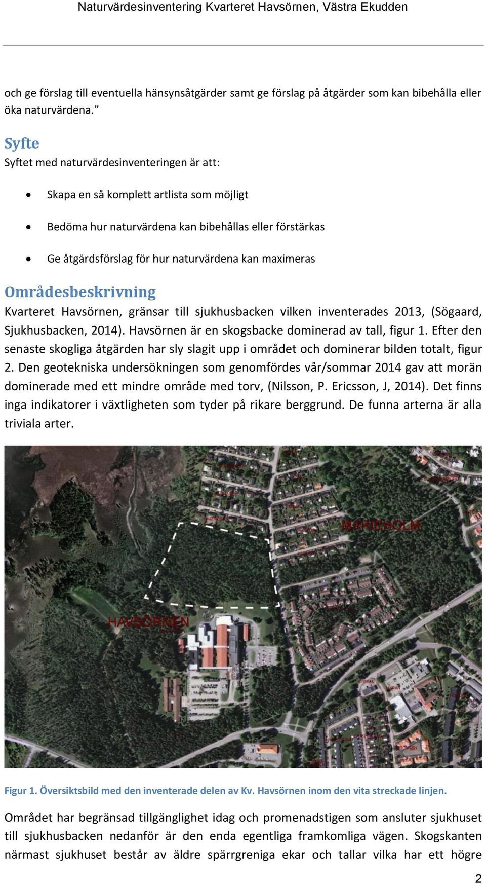 maximeras Områdesbeskrivning Kvarteret Havsörnen, gränsar till sjukhusbacken vilken inventerades 2013, (Sögaard, Sjukhusbacken, 2014). Havsörnen är en skogsbacke dominerad av tall, figur 1.
