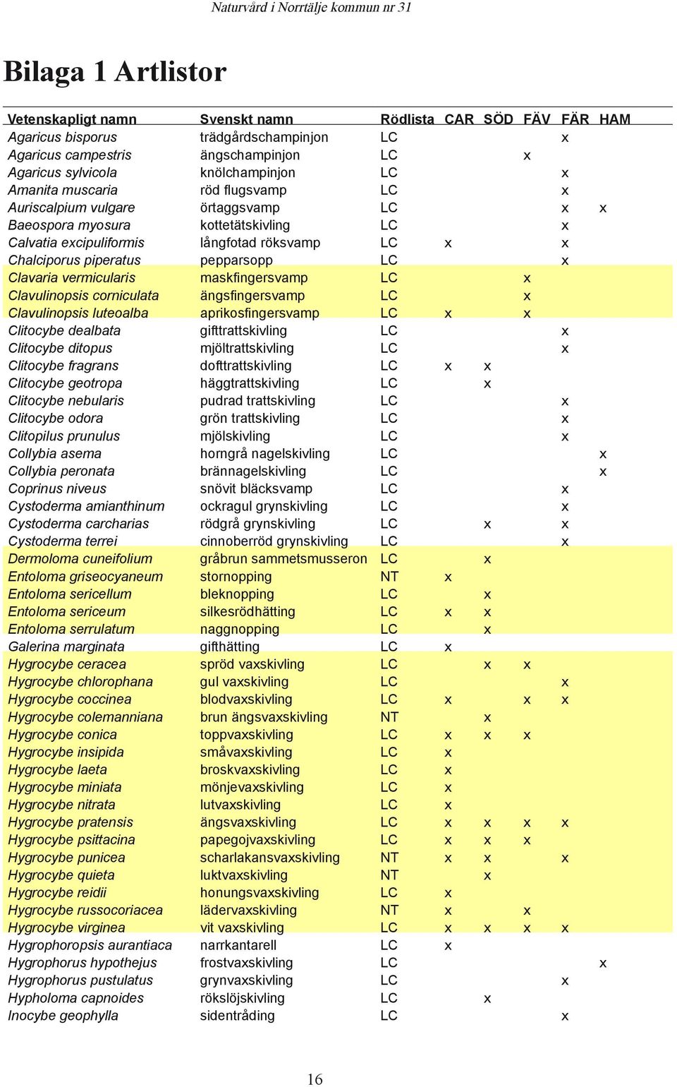 pepparsopp LC x Clavaria vermicularis maskfingersvamp LC x Clavulinopsis corniculata ängsfingersvamp LC x Clavulinopsis luteoalba aprikosfingersvamp LC x x Clitocybe dealbata gifttrattskivling LC x