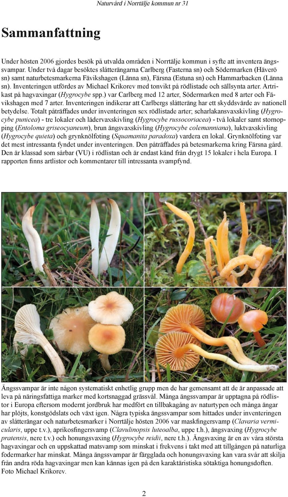 Inventeringen utfördes av Michael Krikorev med tonvikt på rödlistade och sällsynta arter. Artrikast på hagvaxingar (Hygrocybe spp.