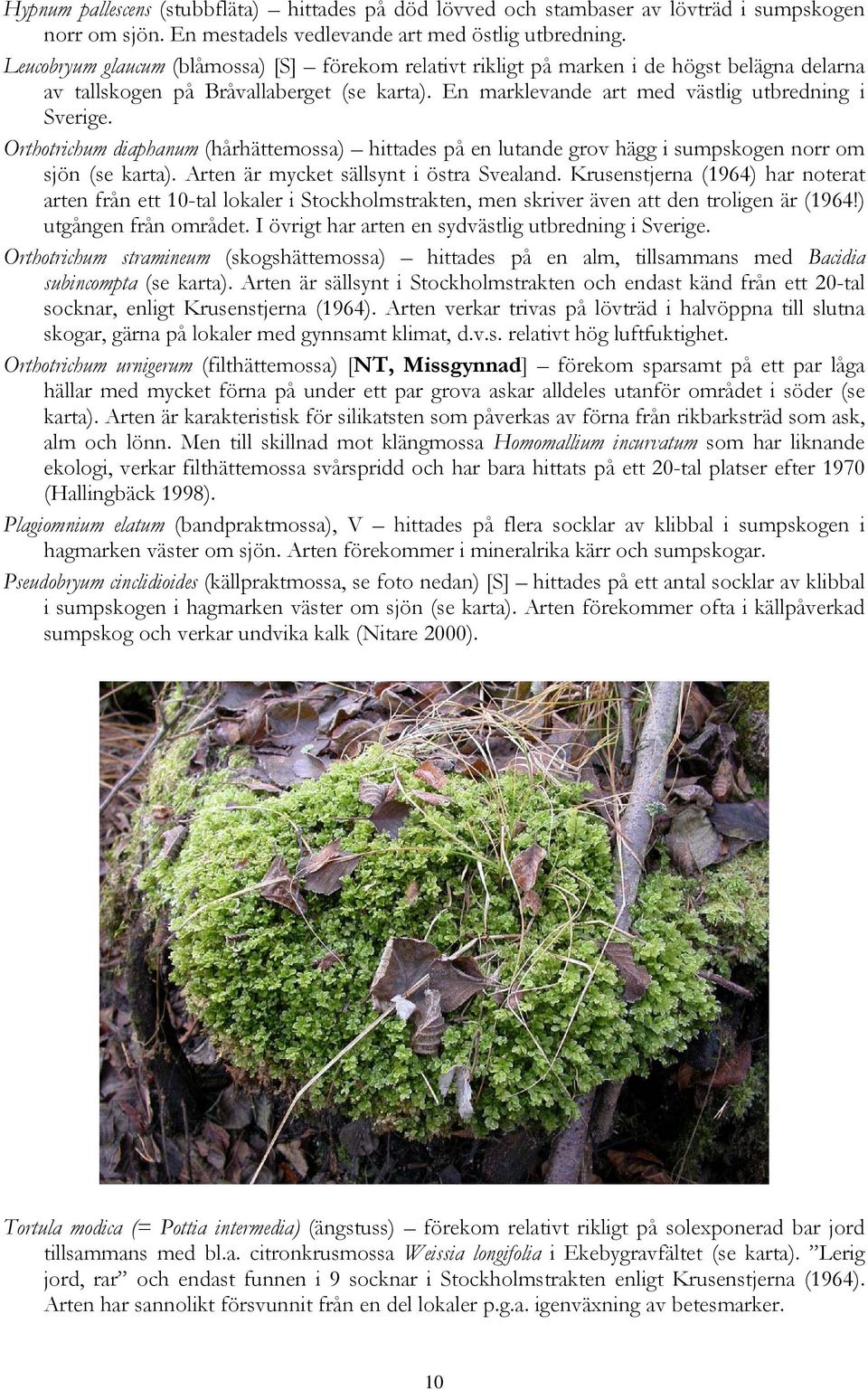 Orthotrichum diaphanum (hårhättemossa) hittades på en lutande grov hägg i sumpskogen norr om sjön (se karta). Arten är mycket sällsynt i östra Svealand.