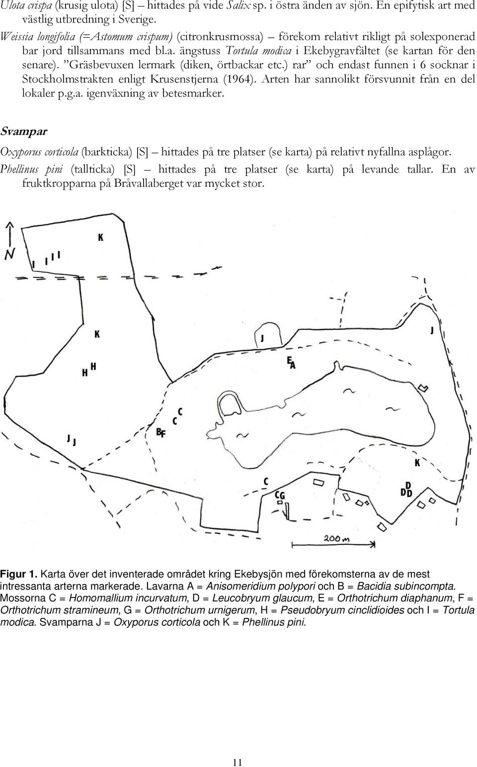 Gräsbevuxen lermark (diken, örtbackar etc.) rar och endast funnen i 6 socknar i Stockholmstrakten enligt Krusenstjerna (1964). Arten har sannolikt försvunnit från en del lokaler p.g.a. igenväxning av betesmarker.