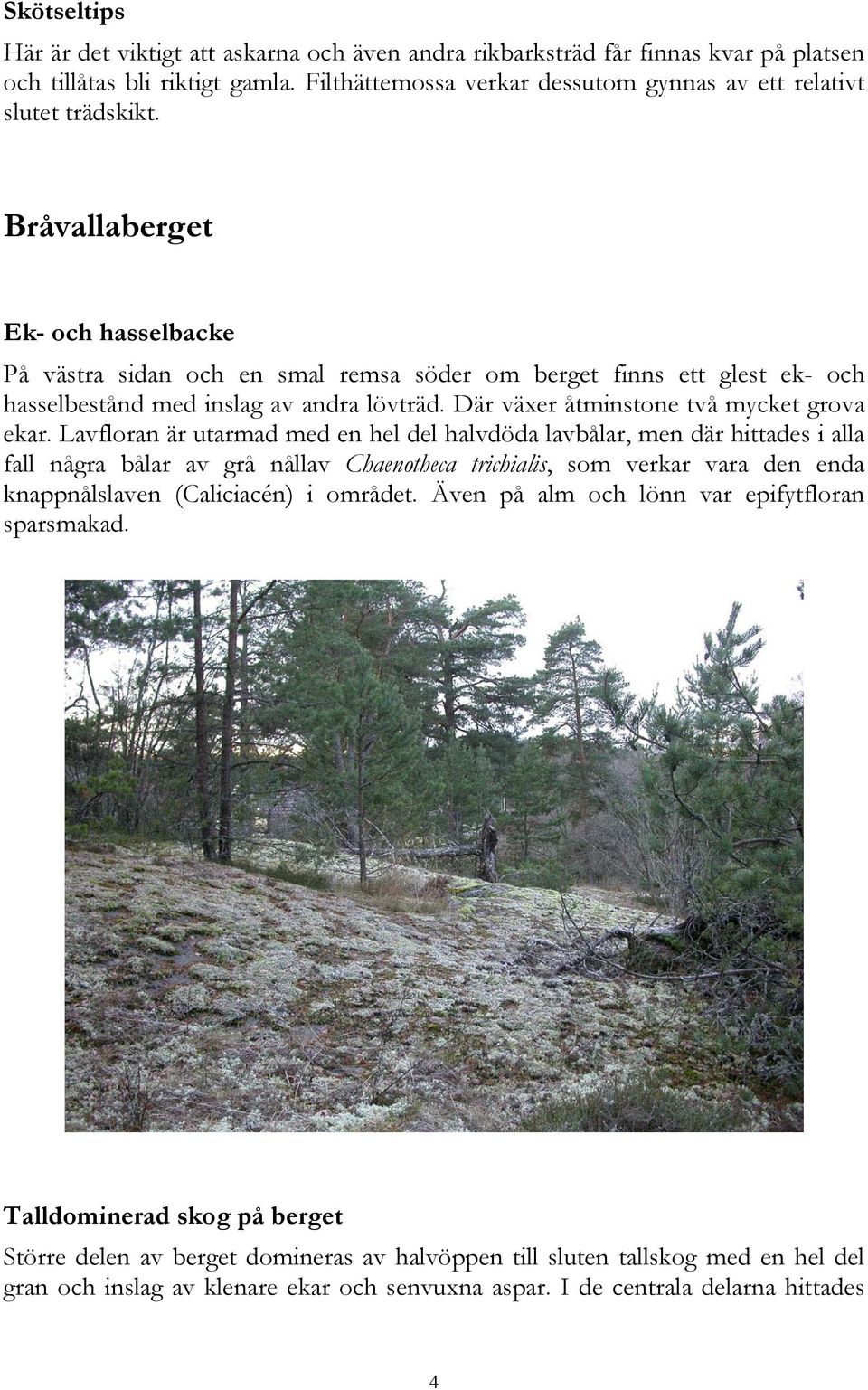Bråvallaberget Ek- och hasselbacke På västra sidan och en smal remsa söder om berget finns ett glest ek- och hasselbestånd med inslag av andra lövträd. Där växer åtminstone två mycket grova ekar.