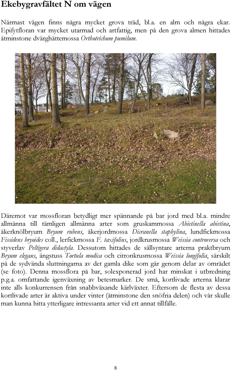 , lerfickmossa F. taxifolius, jordkrusmossa Weissia controversa och styverlav Peltigera didactyla.