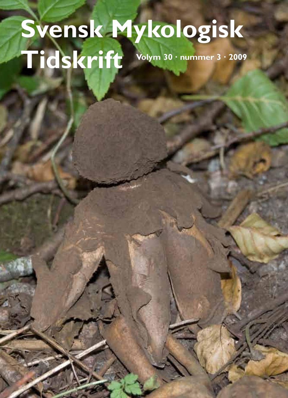 Tidskrift