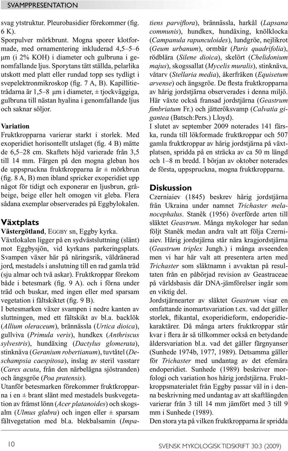 Kapillitietrådarna är 1,5 8 μm i diameter, ± tjockväggiga, gulbruna till nästan hyalina i genomfallande ljus och saknar söljor. Variation Fruktkropparna varierar starkt i storlek.