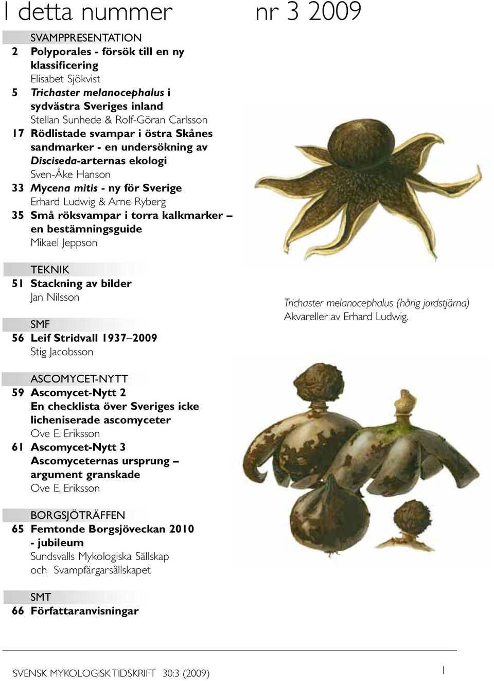 i torra kalkmarker en bestämningsguide Mikael Jeppson TEKNIK 51 Stackning av bilder Jan Nilsson SMF 56 Leif Stridvall 1937 2009 Stig Jacobsson Trichaster melanocephalus (hårig jordstjärna) Akvareller