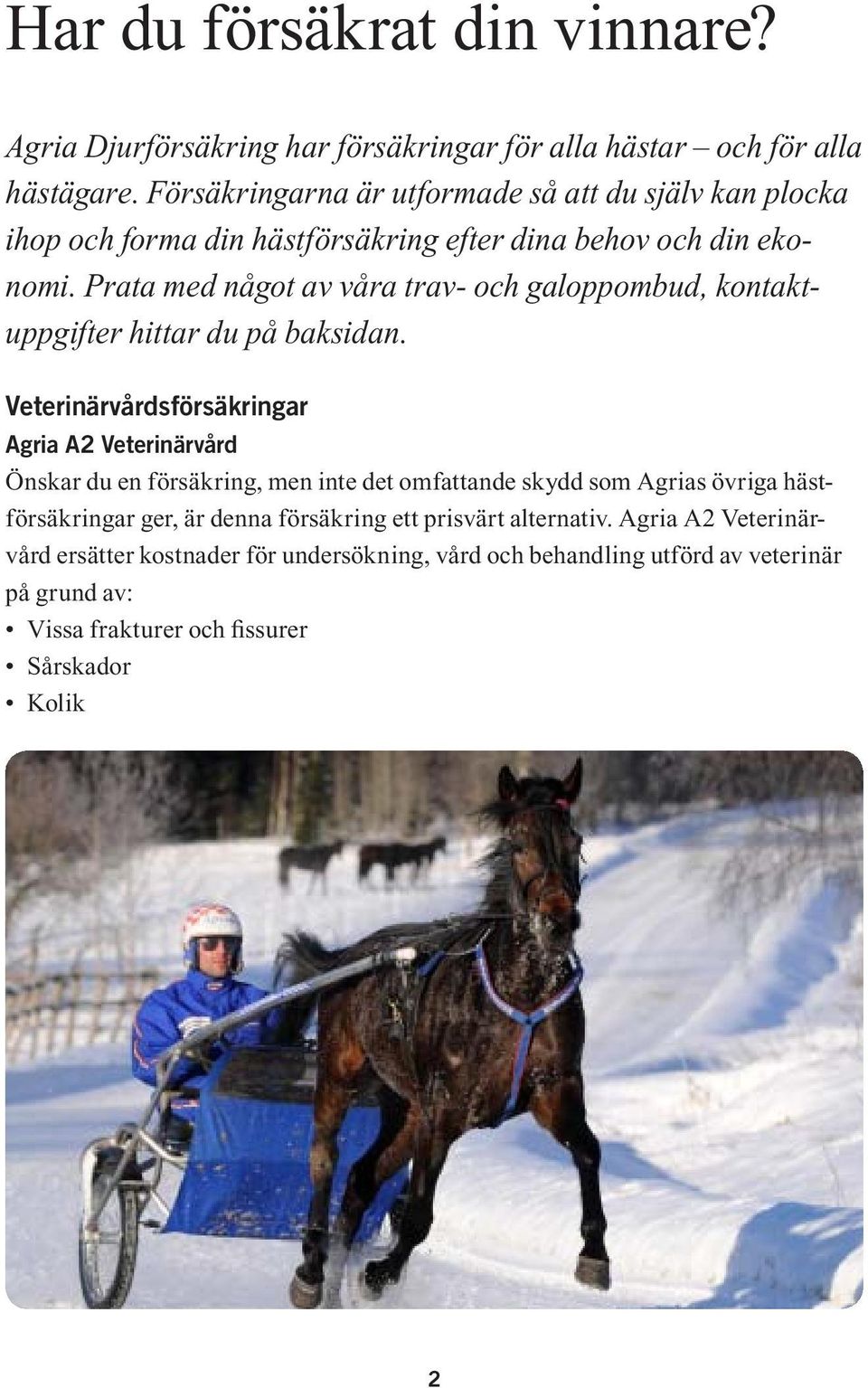 Prata med något av våra trav- och galopp ombud, kontaktuppgifter hittar du på baksidan.