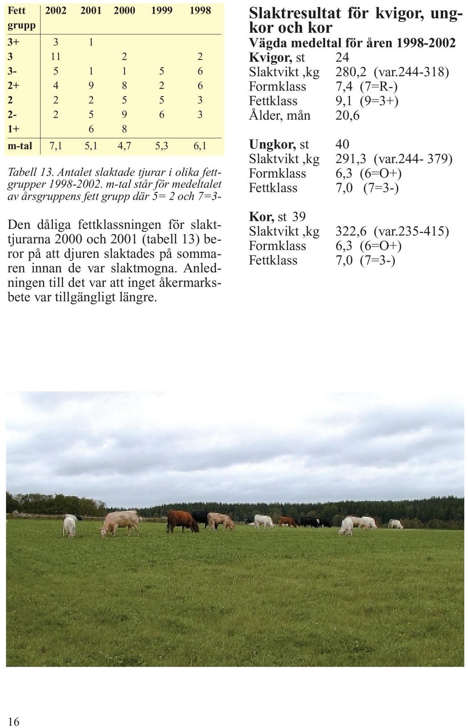 slaktmogna. Anledningen till det var att inget åkermarksbete var tillgängligt längre. Slaktresultat för kvigor, ungkor och kor Vägda medeltal för åren 1998-2002 Kvigor, st 24 Slaktvikt,kg 280,2 (var.