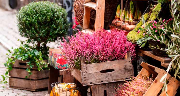 FOTO: Shutterstock minskat med den faktiska indexnedgången för marknaden med sämst utveckling. Placeringen är därmed inte kapitalskyddad och hela eller delar av det nominella beloppet riskeras.