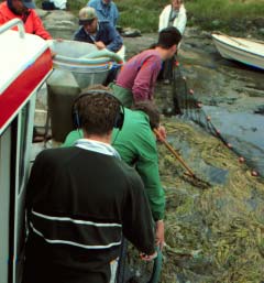 Skördeteknik Säsongen 1997 Ett första pilot försök att skörda alger maskinellt gjordes 1996 med en kraftig vattenpump, som via en grov slang pumpade upp algerna till en filtersäck, placerad på en båt