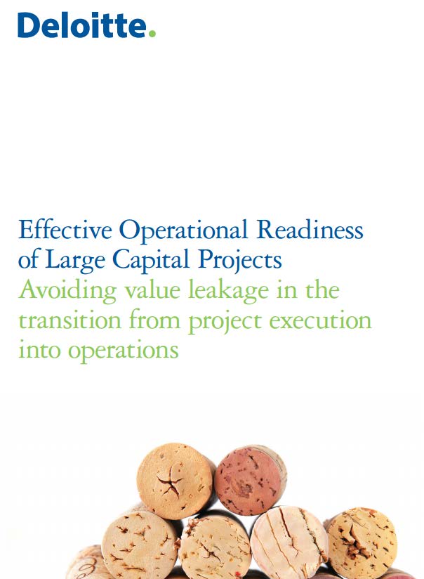 International capital project experience reported by e.g.