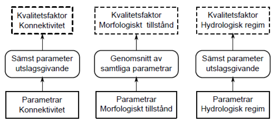 kvalitetsfaktorn morfologiskt tillstånd tas medelvärdet av de klassificerade parametrarna (FIGUR 1), vilka framgår av tabell 1. Figur 1.