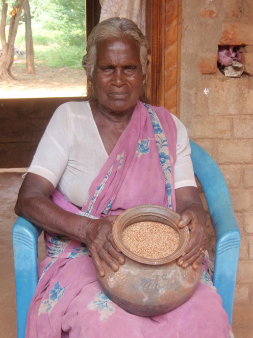 EVELINA JONSSON Agroekologi lönsamt i Indien Foto: Evelina Jonsson Den fattiga indiska bonden har det svårt idag.