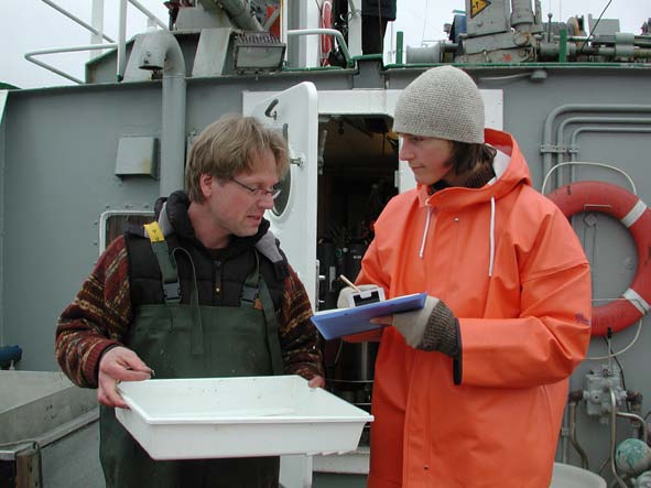 Den huvudsakliga metoden för såväl Jägerskiöld som Svenska artprojektet för att undersöka djurlivet på havsbotten är att ta bottenprover.