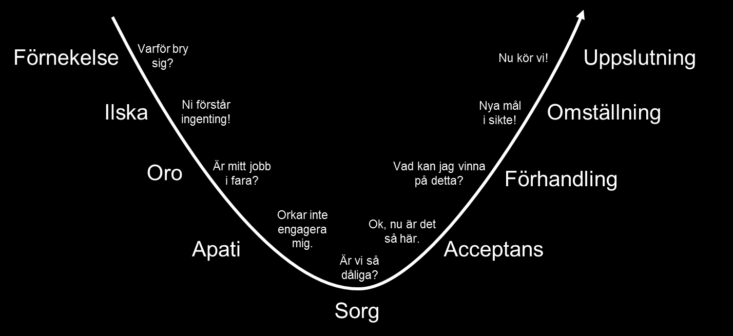 Beskrivning 8(16) Vid riskanalys av förändringar kan resultatet påverkas av var riskanalysens deltagare befinner sig i den så kallade förändringskurvan, se principskiss nedan.