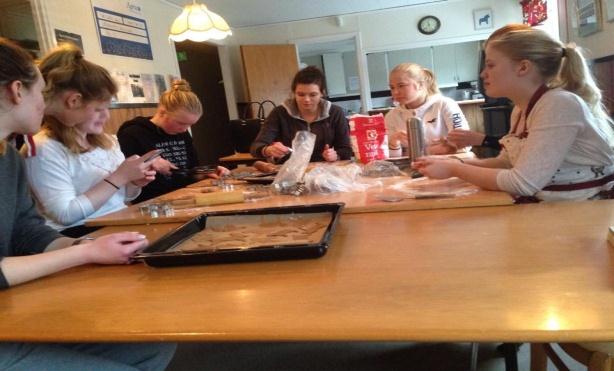 Årsredovisning 2014 Sida 12 (32) styrelse var med och körde. Hästarna vi hade var ridskolans Nadya och Fatimas Peirina. Det var kul med något nytt och barnen som var med tyckte det var roligt.