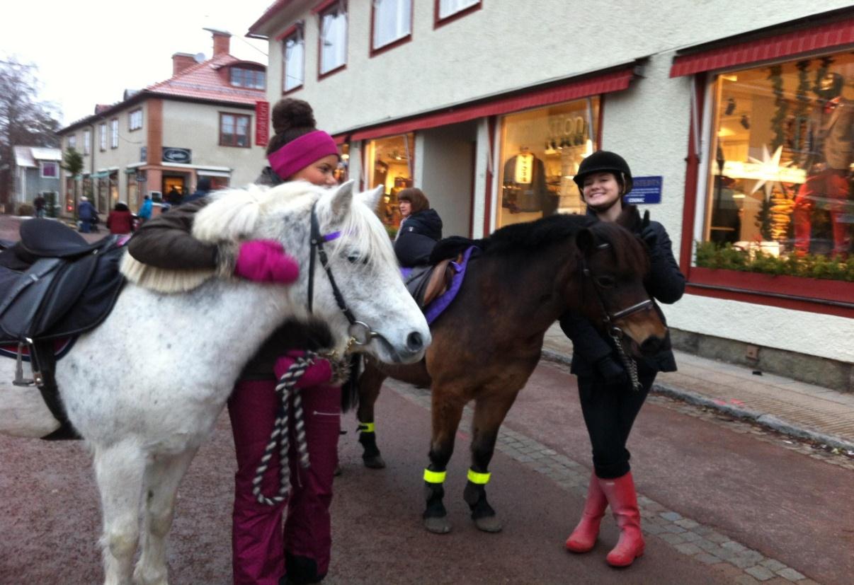 Årsredovisning 2014 Sida 15 (32) Från vänster: Tutan, Fatima, Dixie och Edla. Övrigt Under detta år så har vissa aktiviteter ej gått hem så då har vi tyvärr fått lov att ställa in dem.