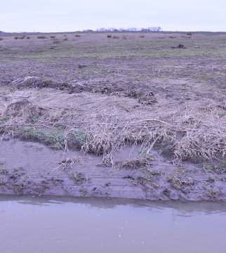 Vertikal stabilitet Anger om fårans botten sjunker genom erosion eller höjs på grund av deposition Ofta en konsekvens av en rätning av meandrande vattendrag Överfördjupning av fåran kan leda till att