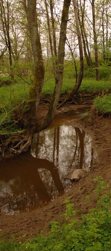 Varför ersätta A protokollet? Vattendrag i finkorniga vattendrag är ofta stabila i naturtillstånd.