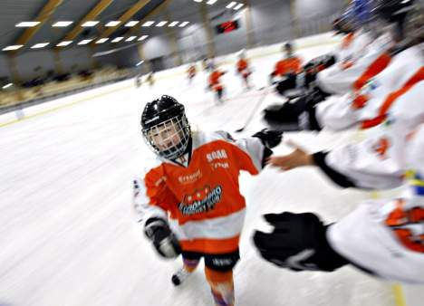 Ny ishall på Testebovallen Den nya ishallen på Testebovallen som invigdes i november är ett betydelsefullt tillskott för distriktets ishockey.