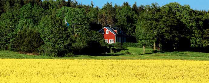 Finansiella risker Finansiell riskkontroll omfattar primärt mätning och rapportering av ränterisk och likviditetsrisk. Ränterisken hanteras inom satta limiter och på ett kostnadseffektivt sätt.