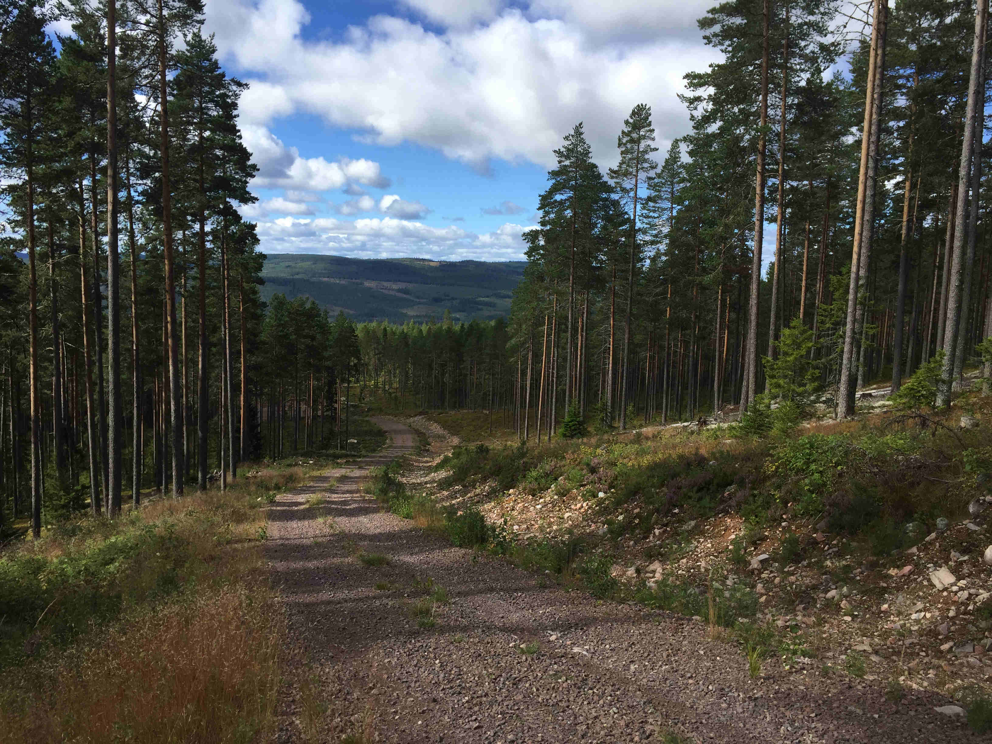 Skogsfastighet i Mora/Våmhus, 2 600 m3sk Mora Västra Storbyn 03: Obebyggd lättillgänglig skogsfastighet fördelat på 2 skogsskiften samt ett inägomarksskifte.