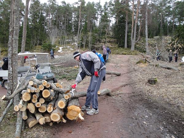 med Niklas eller Chris, som gått ut på att prona har följt med på banan under Elitrundan för att se spelarna in action. Säsongsträningen har bestått av både träning med pro samt träning på egen hand.