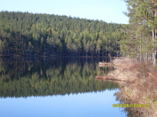 13-15 maj 2016 Paddling och vandring i Glaskogen. Tid: 19:00 Plats: Dammarna vid Stora Gla. Pos: Lat N 59.28.52,51 Long E 12.32.4,51. Grönt vatten i Vålbergs badhus Kanot Bassängträning.