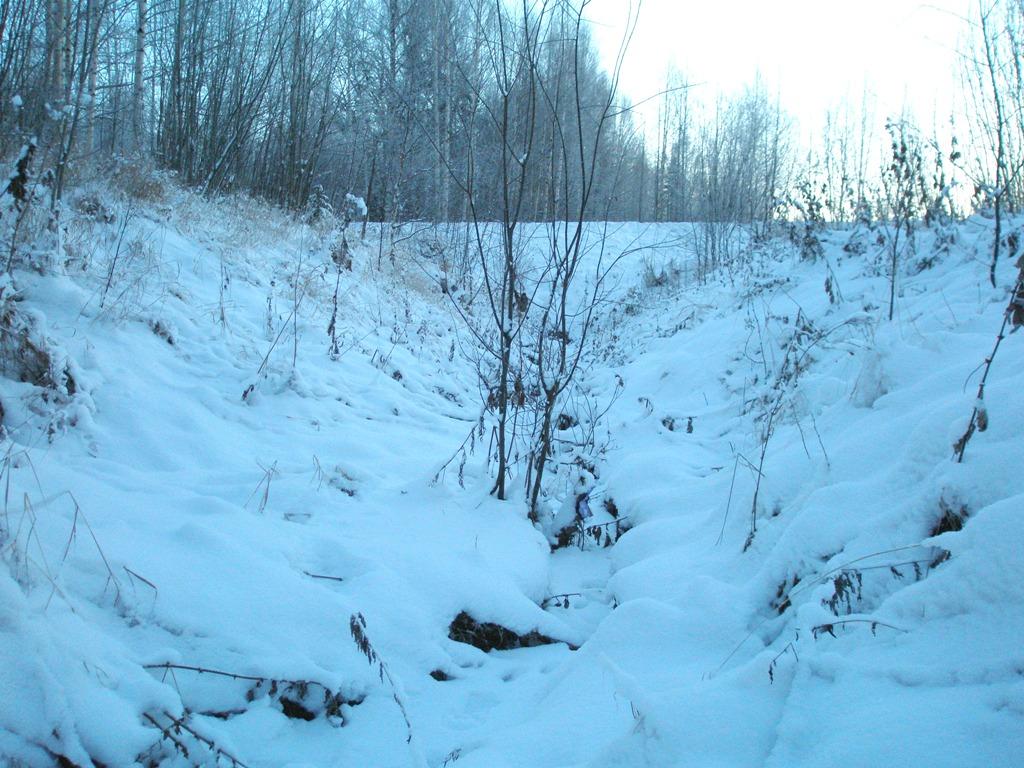 Hösjitjärnen Korsande dike Tjärn Korsande bäck Bild 14.