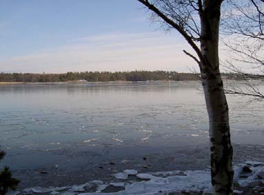 Sammanfattning Vi hade en föreställning om att våra väntetider ibland var långa. Vi beslöt därför att titta närmare på vår tillgänglighet.