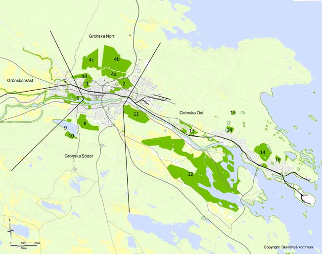 Olika typer av grönstruktur Det finns olika sätt att kategorisera det gröna i en stad. I Skellefteå har vi valt att titta närmare på den omgivande grönskan, gröna stråk och gröna oaser.