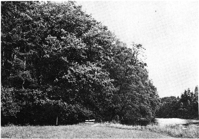 Lövskogsvegetation i sjuhäradsbygden 49 Tab. 14 exemplifierar vegetationens utformning med hjälp av småruteanalyser. Se även tab. 11 segment 2.