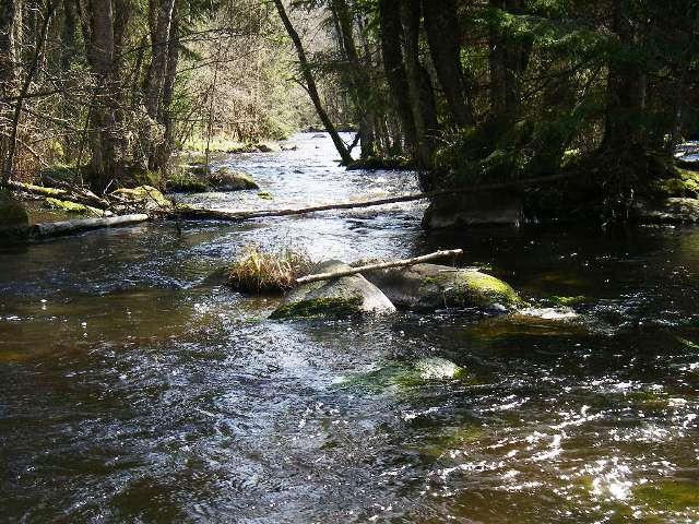 Restoration of streams and lakes in