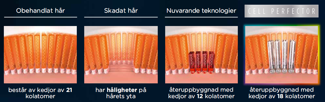 En innovation: Cell Perfector-teknologin Hemligheten bakom BC Bonacure är nya Cell Perfector-teknologin. På ett obehandlat hår finns ett lager av skydd, vilket är uppbyggt av kedjor med 21 kolatomer.