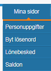 Under Mina sidor kan du skriva in personuppgifter, byta lösenord, titta på lönebesked, se saldo. Du kan se din preliminära lönespecifikation ca 7-8 dagar innan löneutbetalningen.