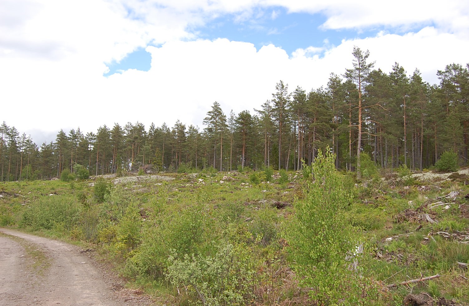 VÄSTERVIK NYGÅRD 4:2 Ladugård 03-14. Arrendeintäkt ca 262.000kr/år exkl moms. Åker- och betesmarken omfattar enligt skogsbruksplanen ca 132 ha. Åkermarken är väl samlad i rationella skiften.